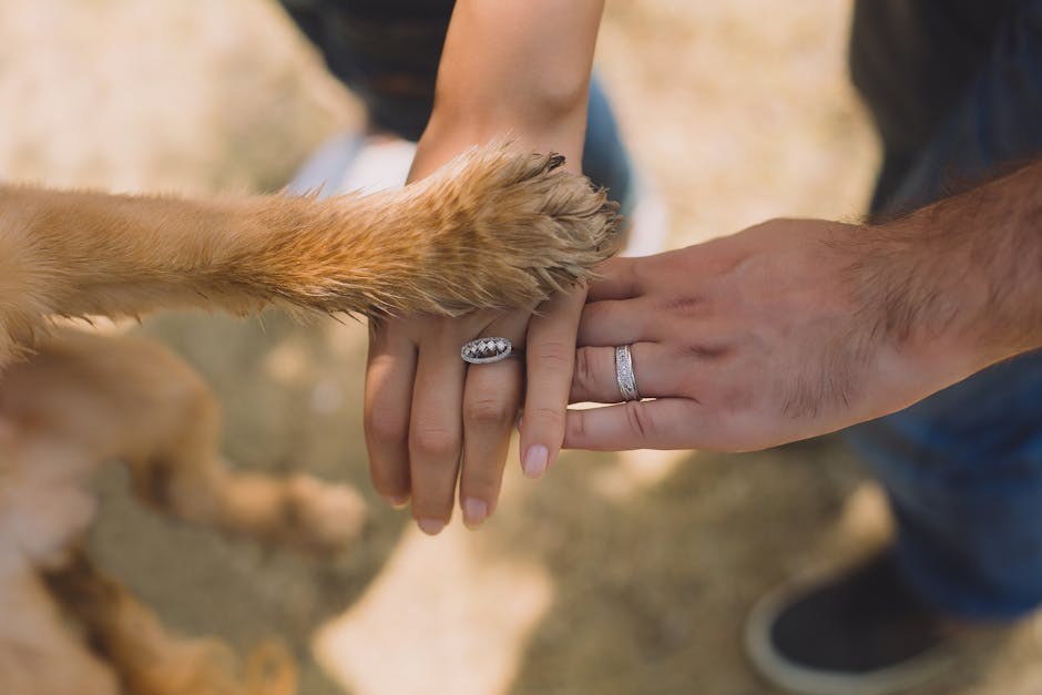 Flirt Across Languages for a Spicier Love Life