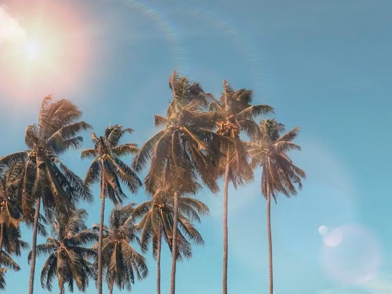 Soft Power: Ways to Embrace Grace and Attract with Warmth
