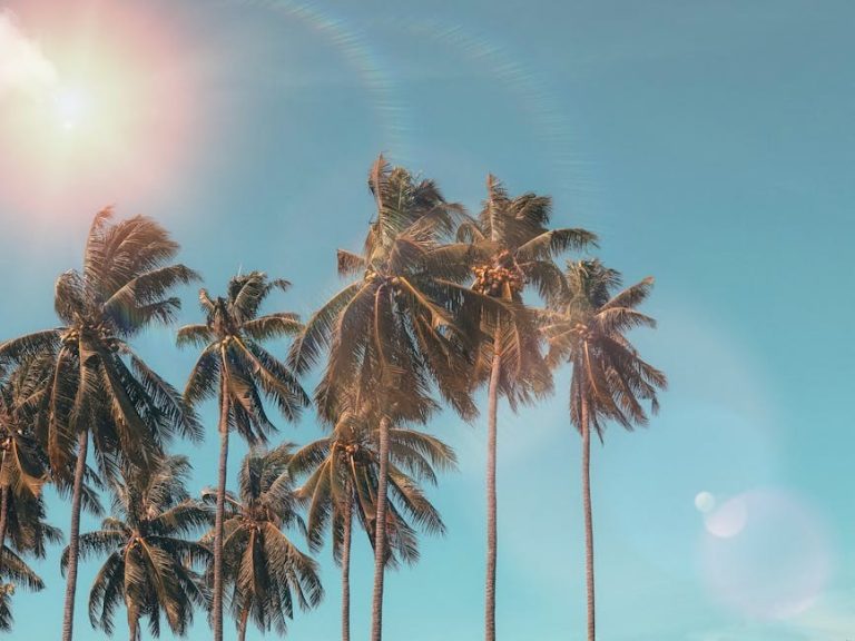 Soft Power: Ways to Embrace Grace and Attract with Warmth