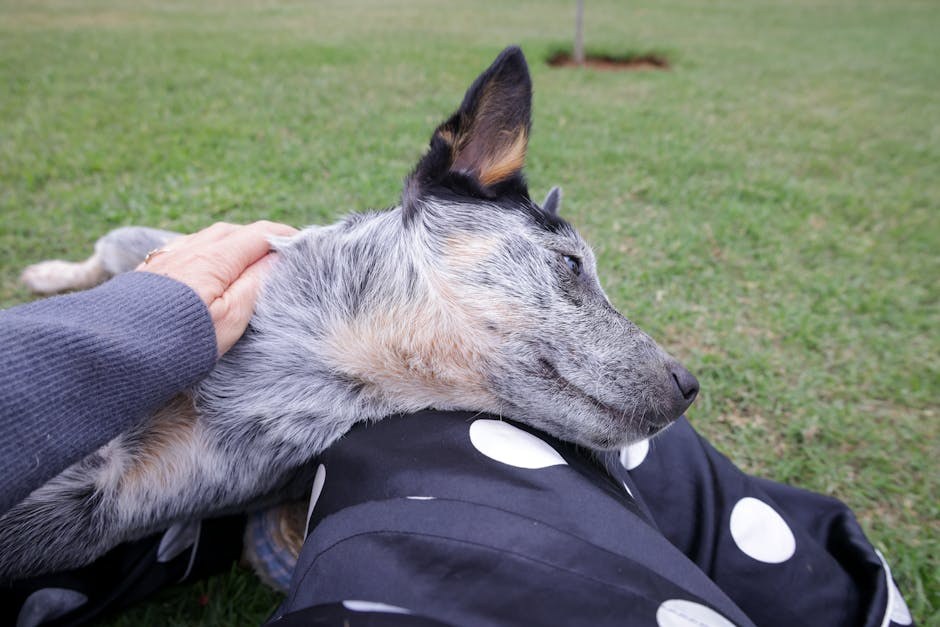 Clues He’s Smitten Beyond Control - How to Tell He’s Truly All In