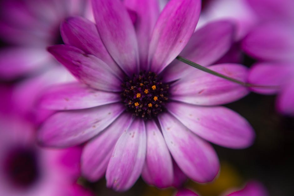 Indecisive Boyfriend Unpacked: Why He Hesitates and Ways to Shift Course