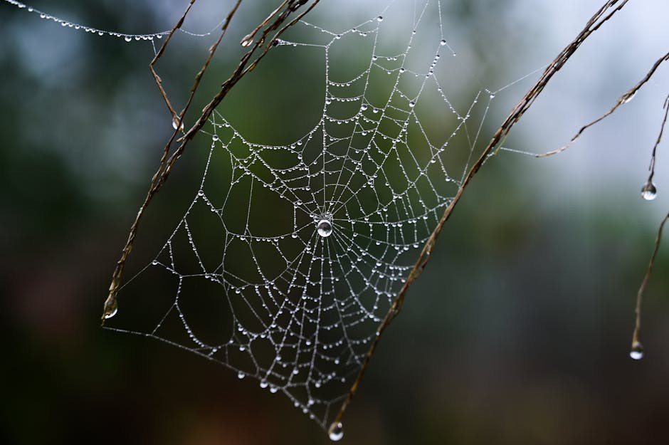 Say What You Need Without Sounding Clingy: A Gentle Guide to Getting His Focus