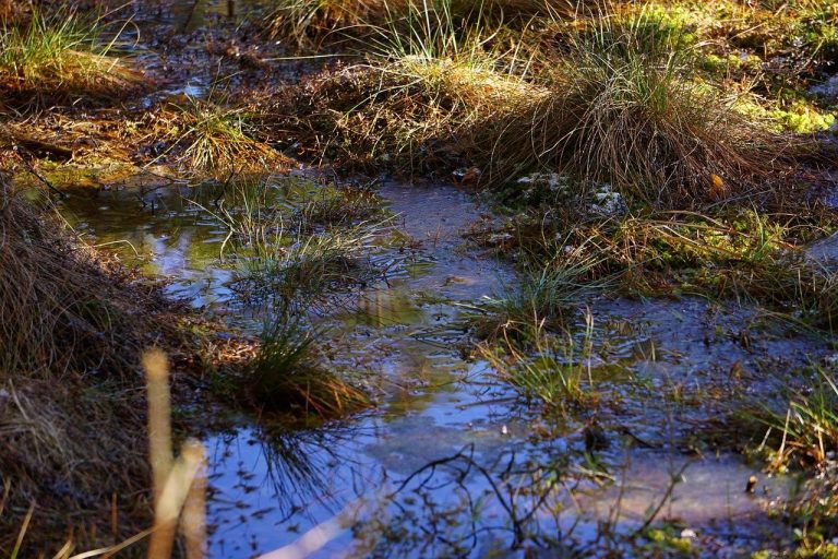 Mixed Signals That Make Him Doubt Your Interest