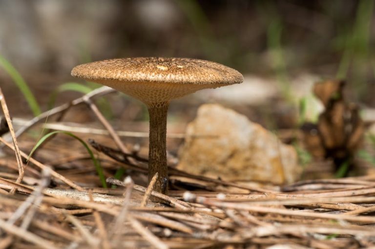 How to Read a Man’s Interest Without Guessing