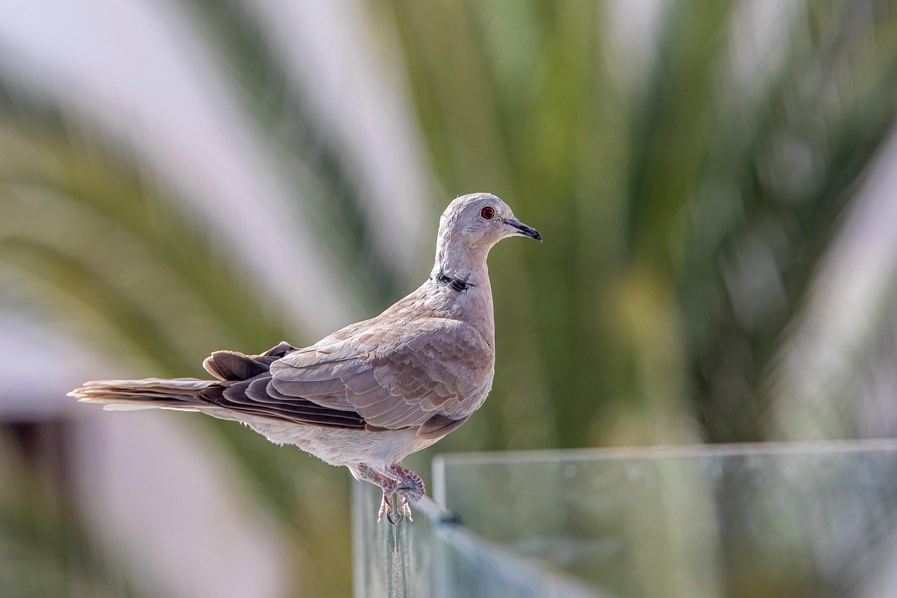 How to Read a Man’s Interest Without Guessing