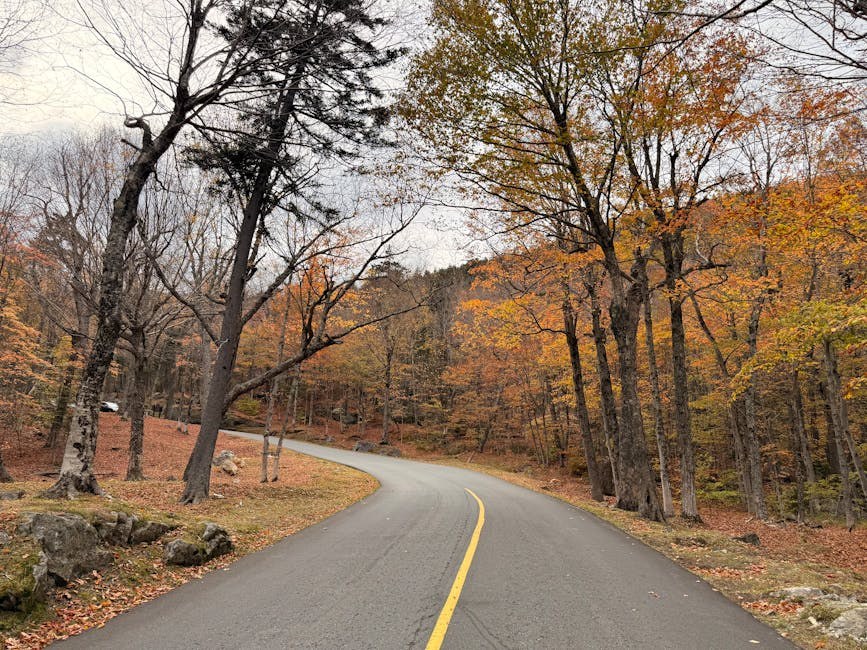 Winning the Interest of an Alpha Male - Ways to Date Him and Keep His Attention