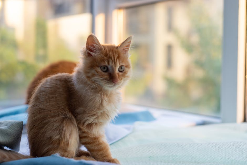 Flirty Text Play That Turns Up Heat While Keeping Things Respectful