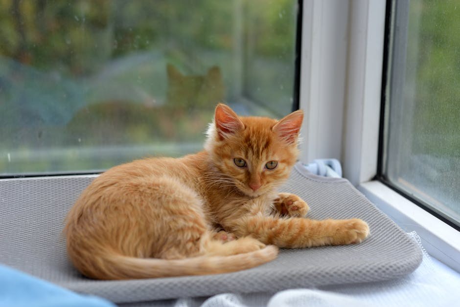 Playful and Thought-Provoking What-Ifs to Ask Your Boyfriend