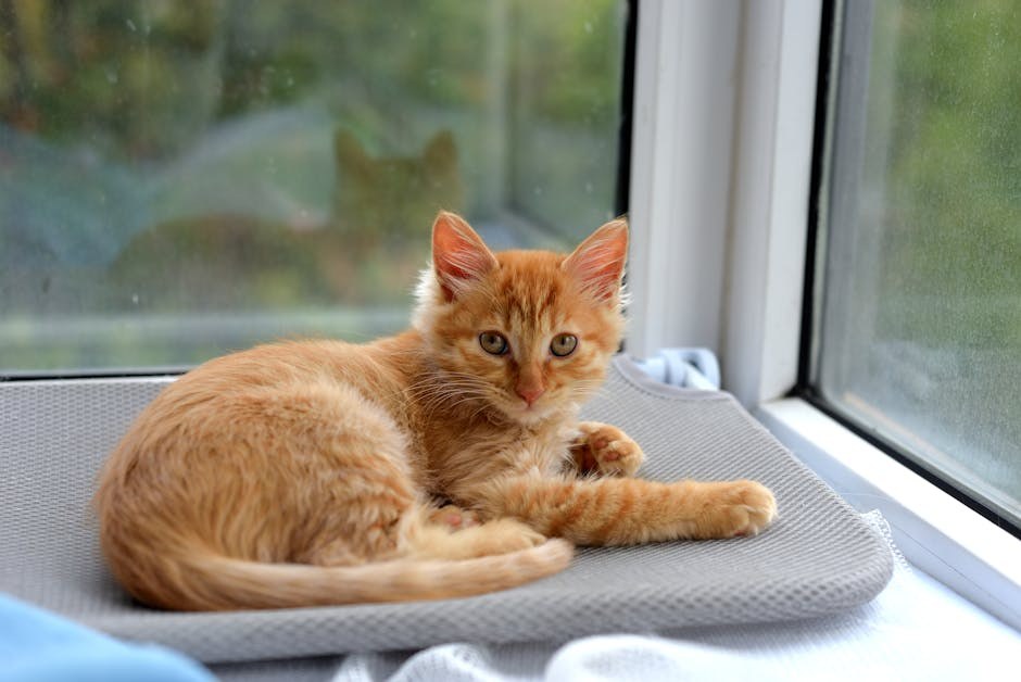 Playful and Thought-Provoking What-Ifs to Ask Your Boyfriend