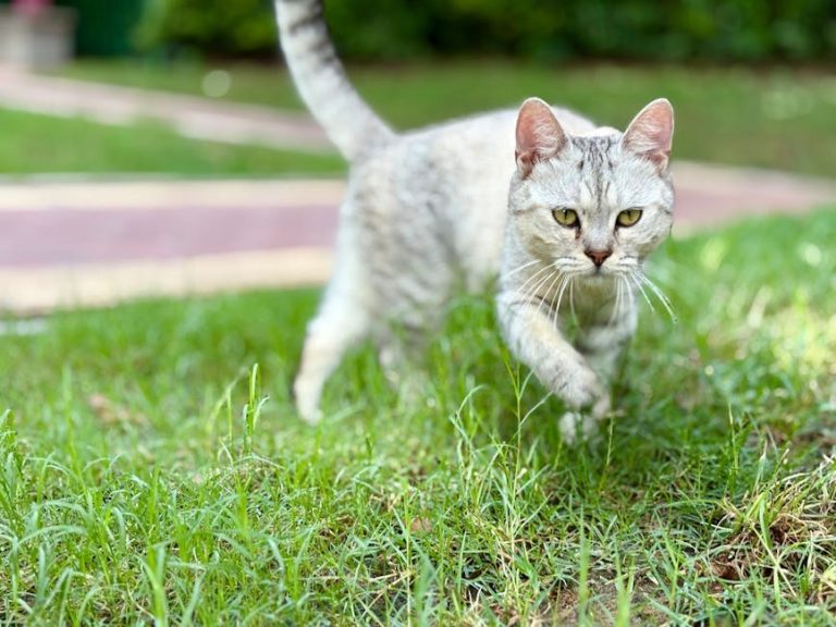 Playful Moves That Stir His Interest Without Giving Everything Away