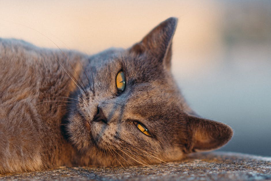 Playful and Thought-Provoking What-Ifs to Ask Your Boyfriend