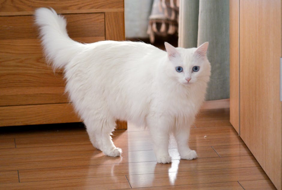 Playful Moves That Stir His Interest Without Giving Everything Away