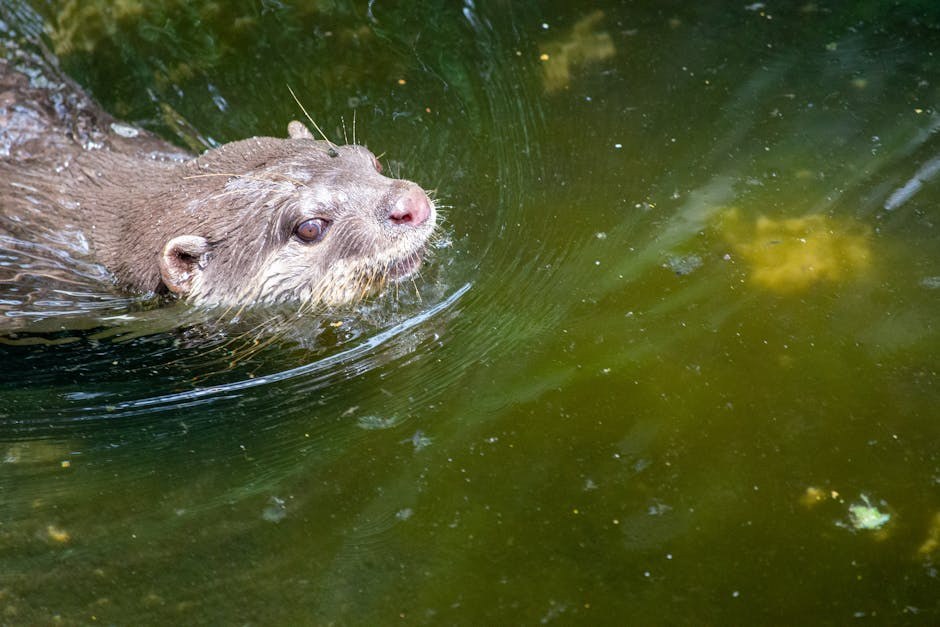 Flirty Text Play That Turns Up Heat While Keeping Things Respectful