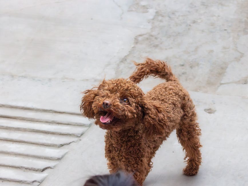 When Affection Fluctuates: Motives, Phases, and Smart Responses