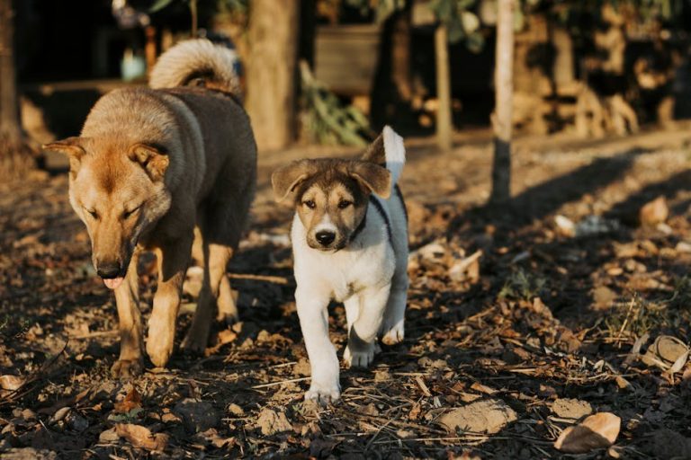 Cultivating Poise and Refinement in Your Body and Behavior