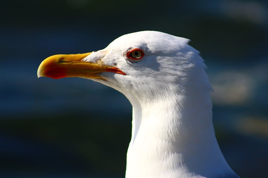 Savvy Ways to Choose and Ask a Guy for Friends-with-Benefits Arrangement