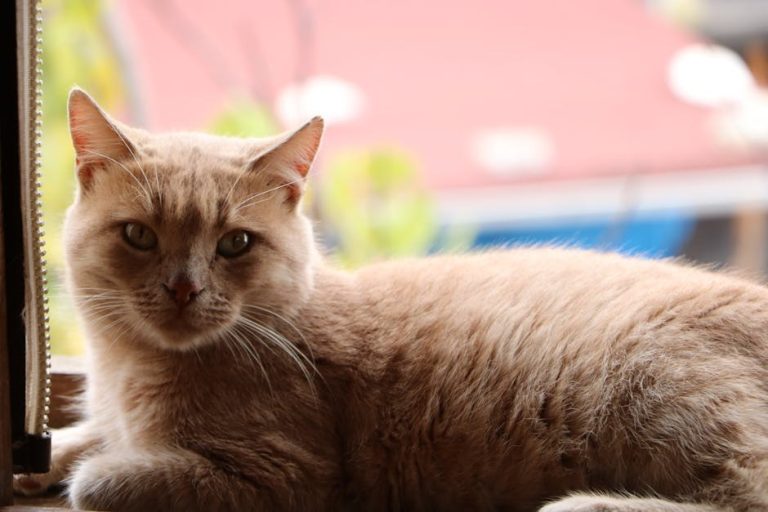 Reading His Messages: What Consistent Texting Really Means