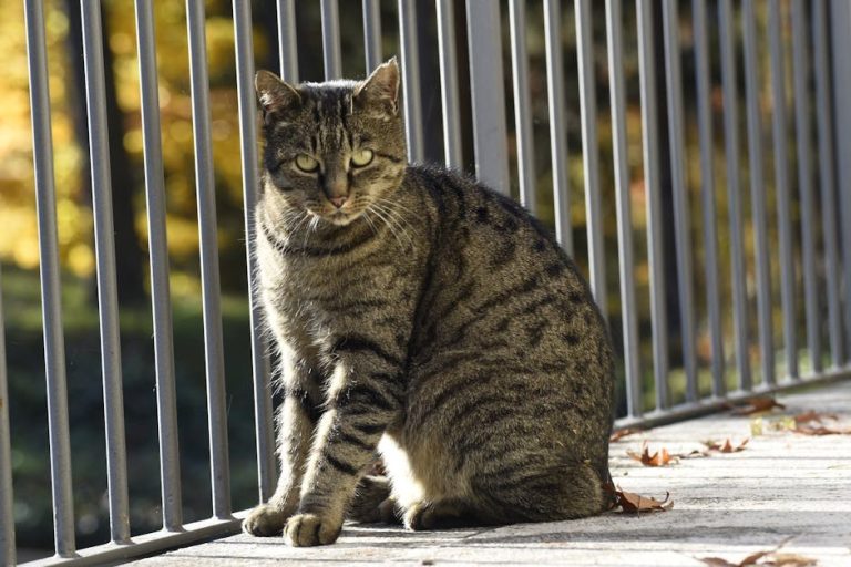 Decode His Signals: Subtle Ways to Understand a Man’s Intent