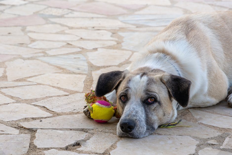 Reading His Messages: What Consistent Texting Really Means
