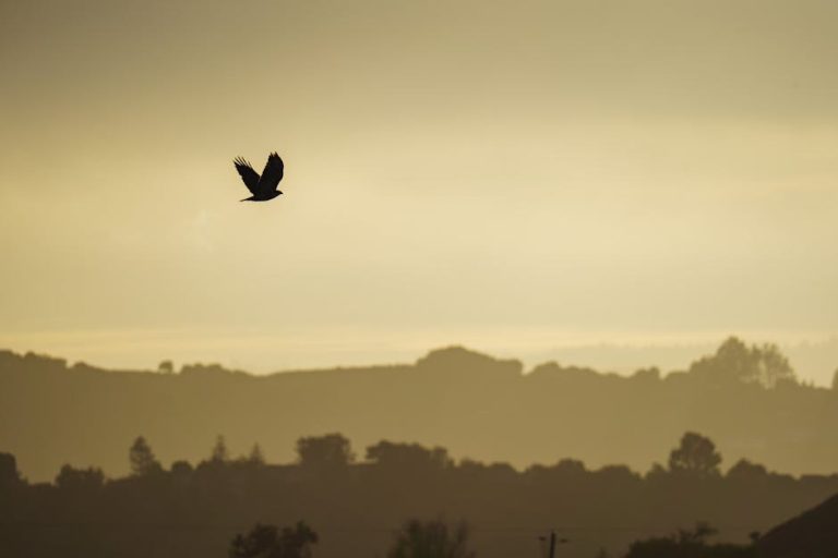 Gentle Ways To Keep A Guy Solidly In The Friend Zone