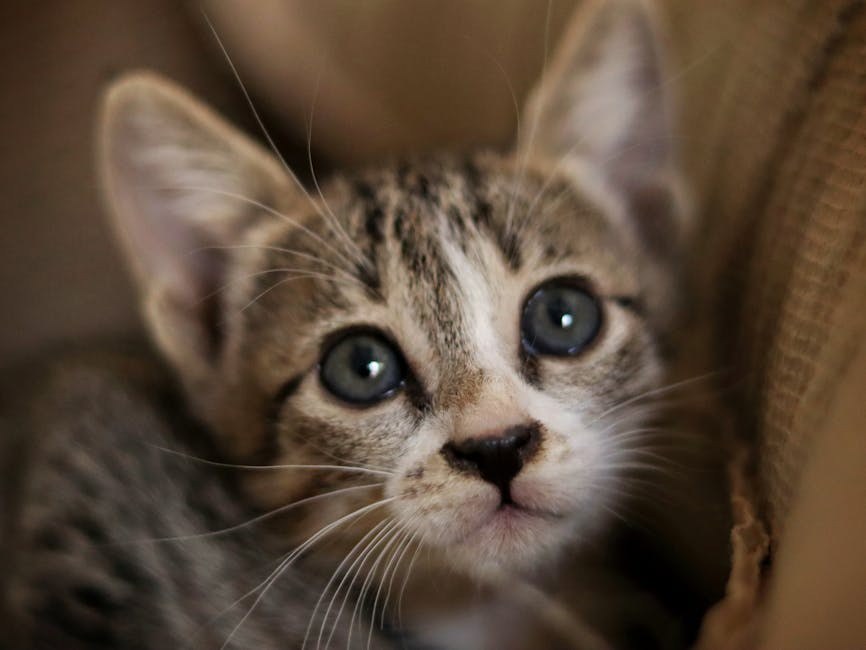 Gentle Ways To Keep A Guy Solidly In The Friend Zone