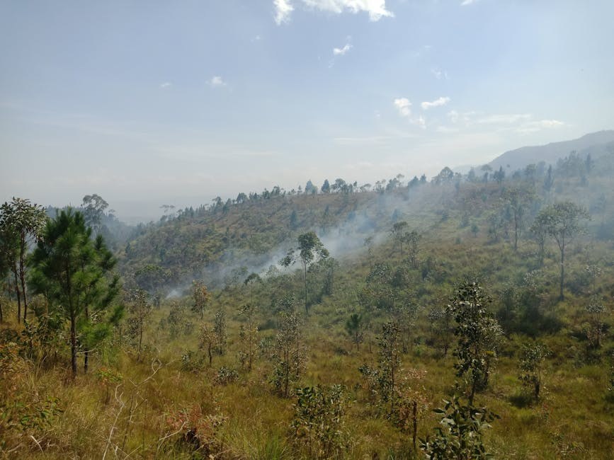 When His Interest Feels Empty and You're Left Confused