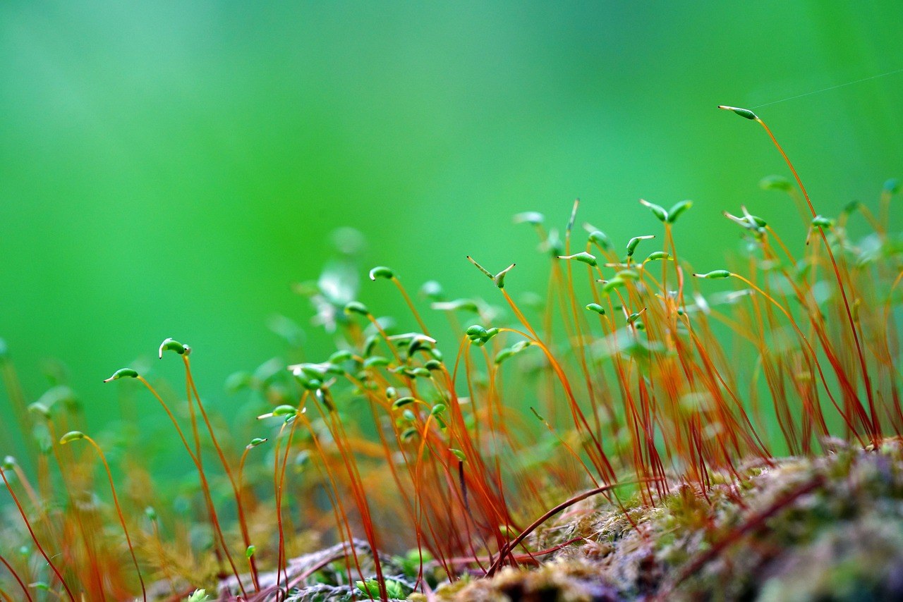 Clues He Hides His Feelings While Falling for You