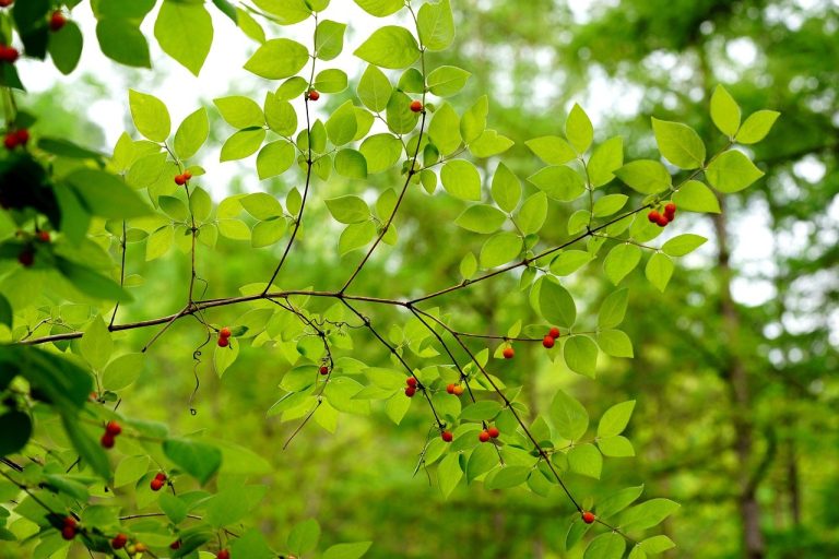 Clues He Hides His Feelings While Falling for You