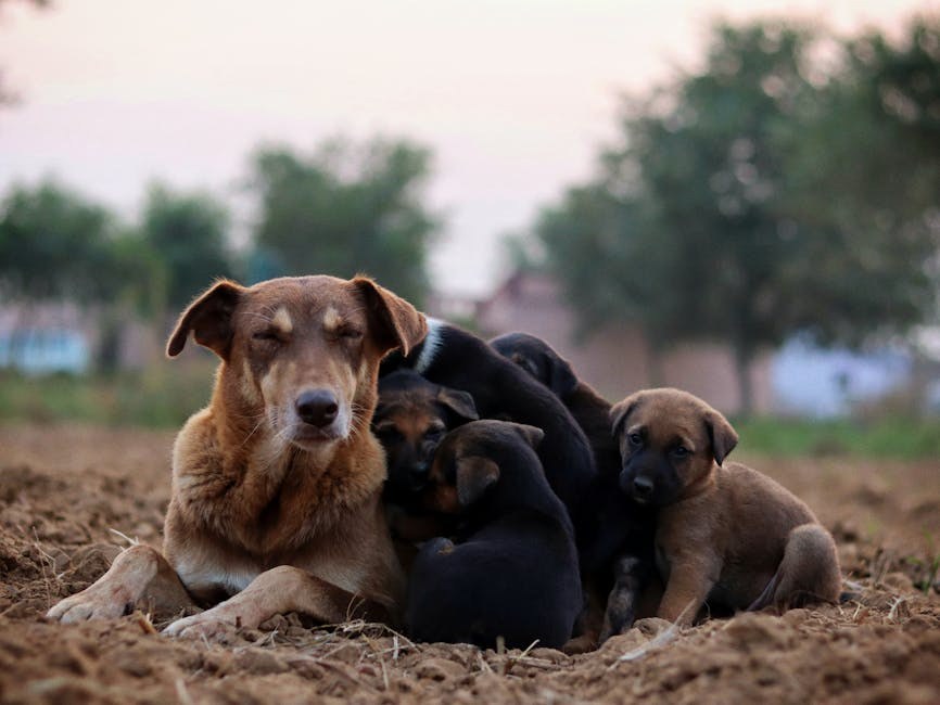 Smart Ways to Stop Letting a Guy Drag You Along