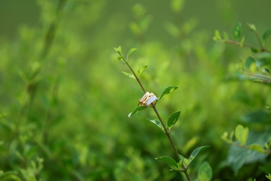 Electric Kissing Moves To Drive Any Man Wild