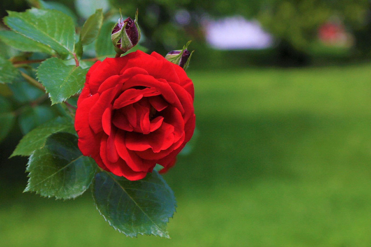 Cracking His Silence about Dating You