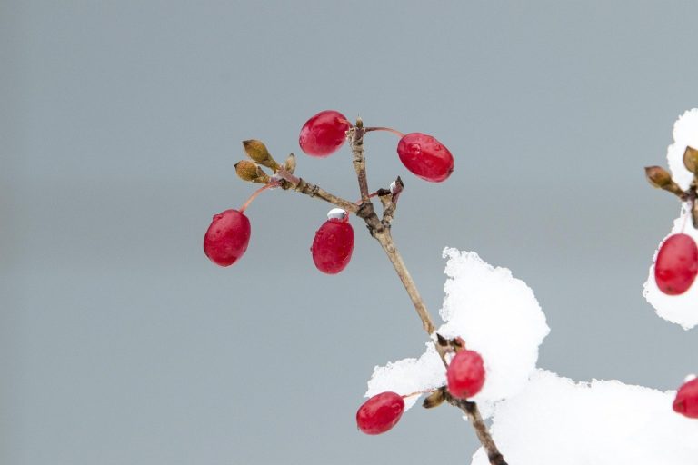 Curious Things You Can Ask Him And Topics To Quietly Avoid