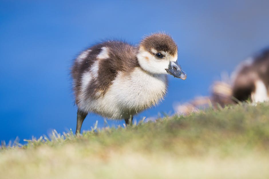 Creepy Energy Explained - Behaviors Women Should Steer Clear Of