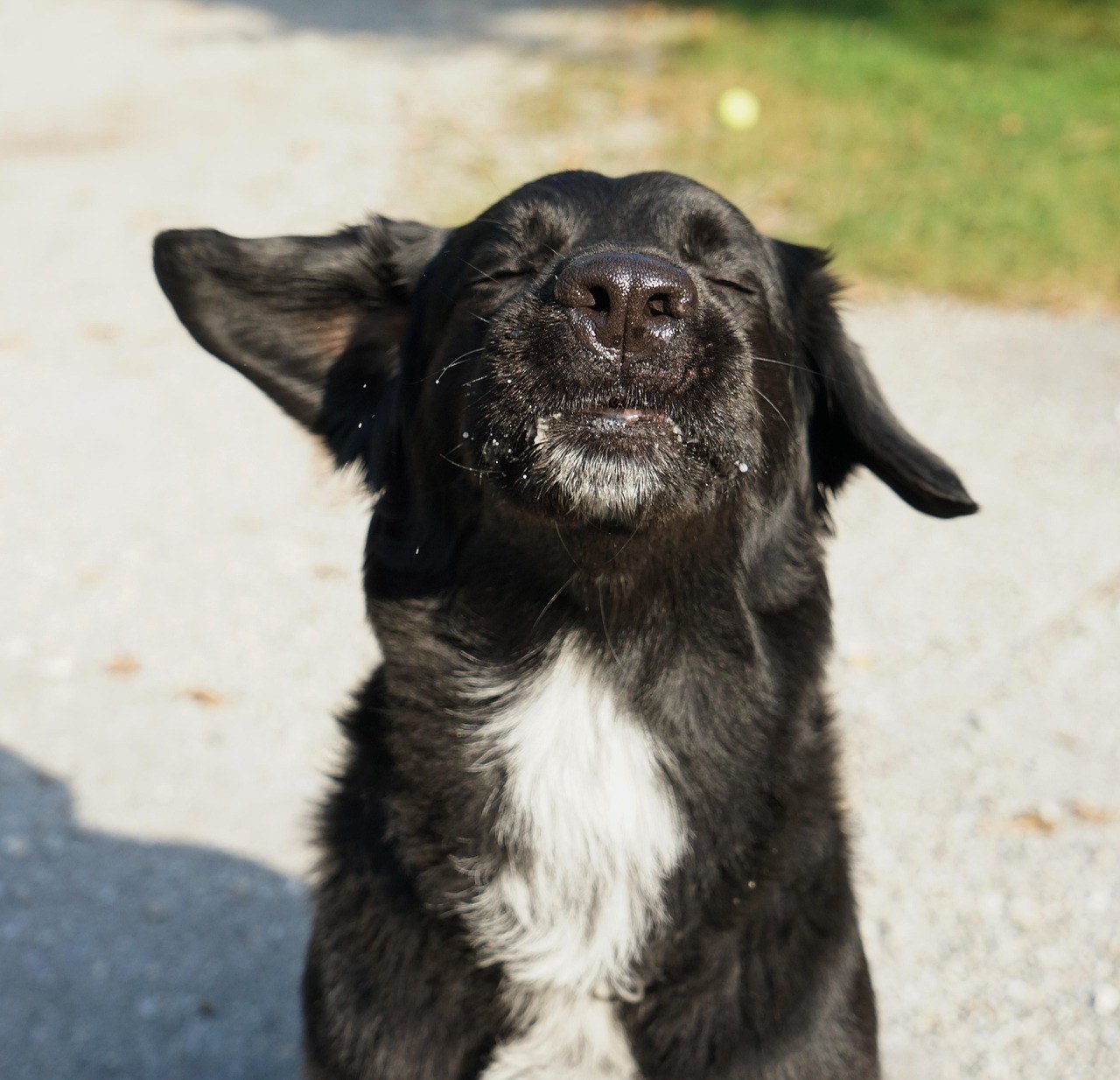 A Fresh Playbook to Ignite His Desire Without Rushing the Main Event