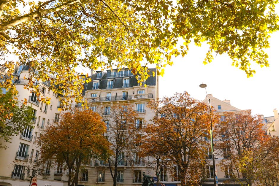 Let Him Step Up: When Chasing Turns Into Control