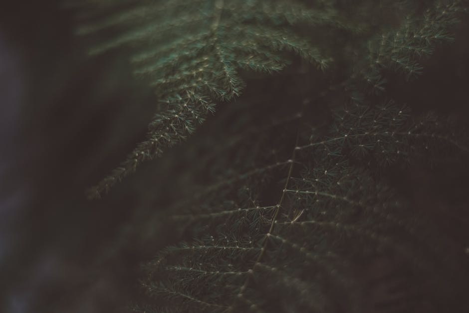 Reassurance Signals That He’s Close to Saying ‘I Love You’