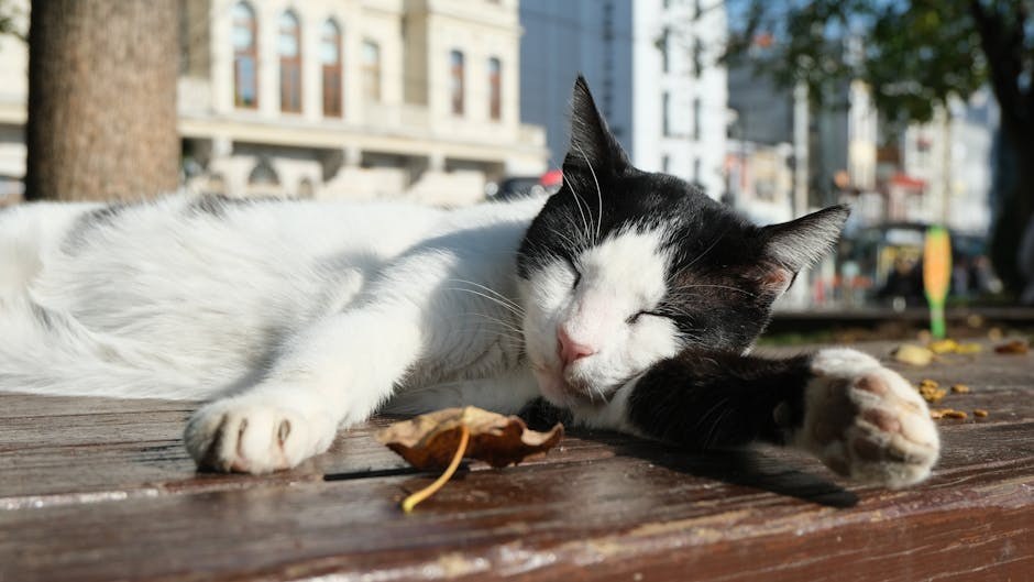 Partner Contempt Explained: What Drives Hurtful Behavior