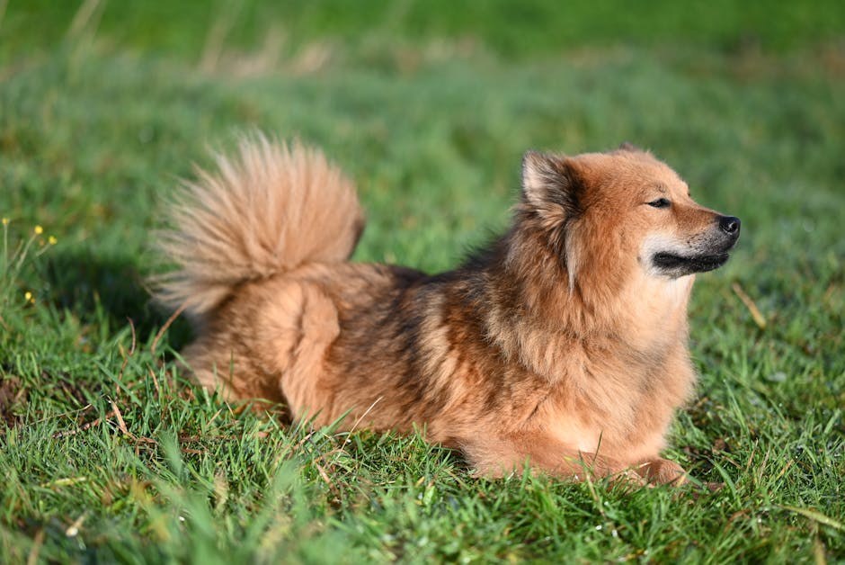 Covert Pressure Toward Pregnancy Without Your Consent