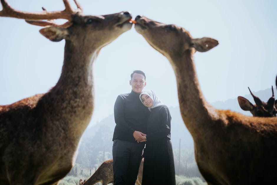 Red Flags A Taken Man Is Pushing For An Affair With You