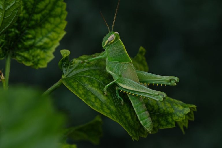 When His Behavior Is a Quiet Bid for Your Interest