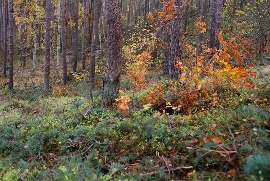 When His Behavior Is a Quiet Bid for Your Interest