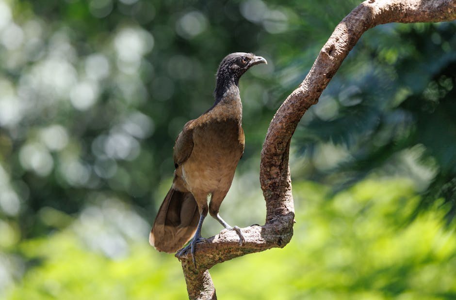 Turning a Player’s Interest Into Something Real