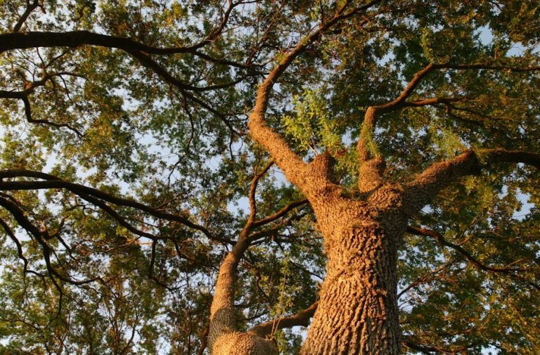 Turning a Player’s Interest Into Something Real