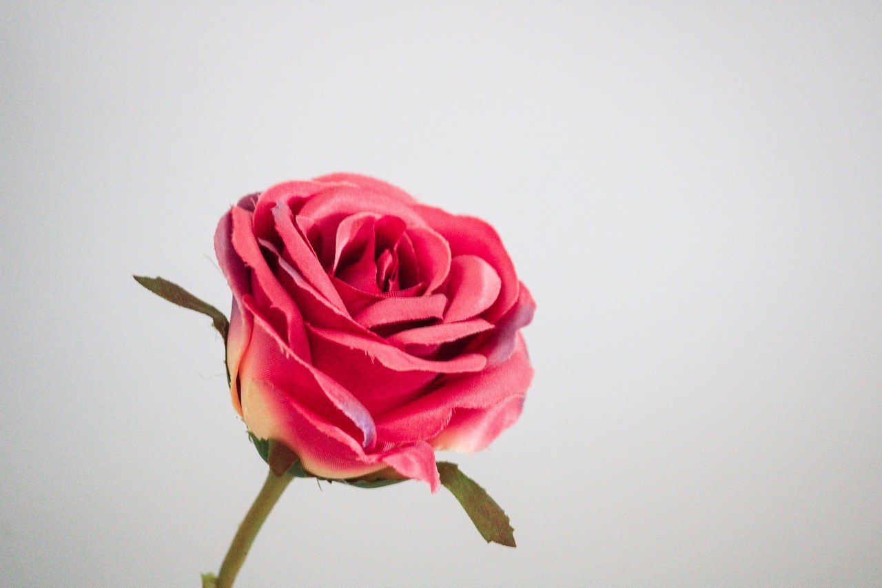 Choosing Forever with Him: Signals, Reasons, Readiness