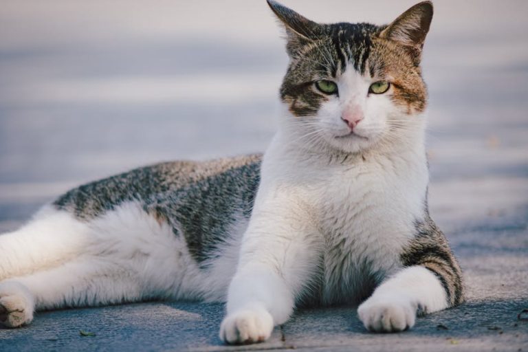 Why the Greaser Girl Persona Feels Liberating, Bold, and Playful