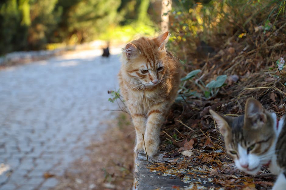 Why the Greaser Girl Persona Feels Liberating, Bold, and Playful