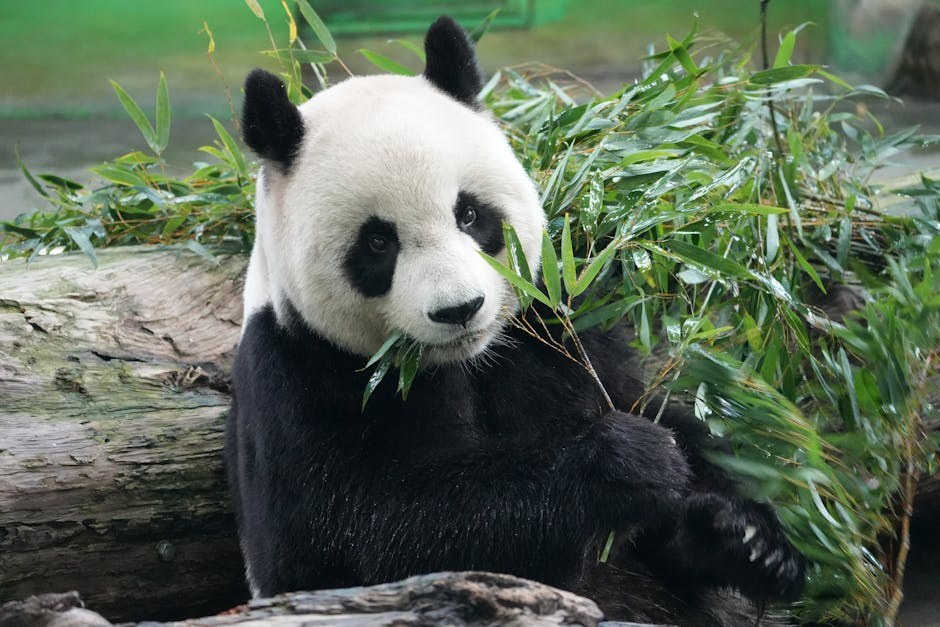 Why the Greaser Girl Persona Feels Liberating, Bold, and Playful