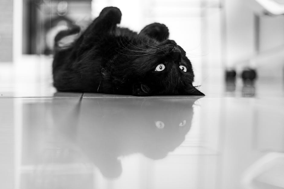 Earn His Attention Through Confidence, Mystery, and Playful Charm