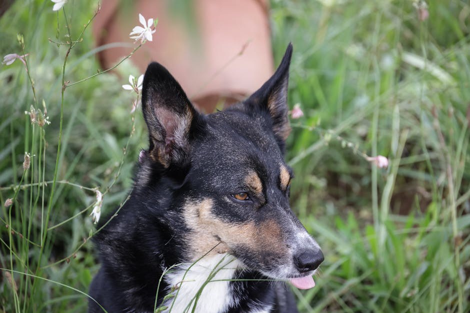 Turning Attraction Into Connection With Confidence and Playful Signals