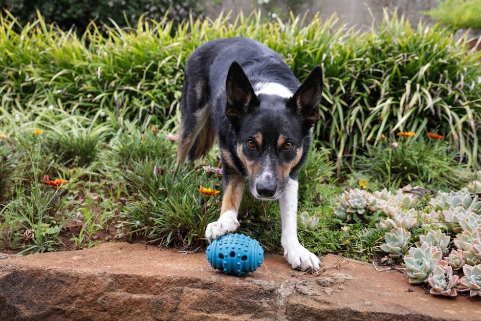 Turning Attraction Into Connection With Confidence and Playful Signals